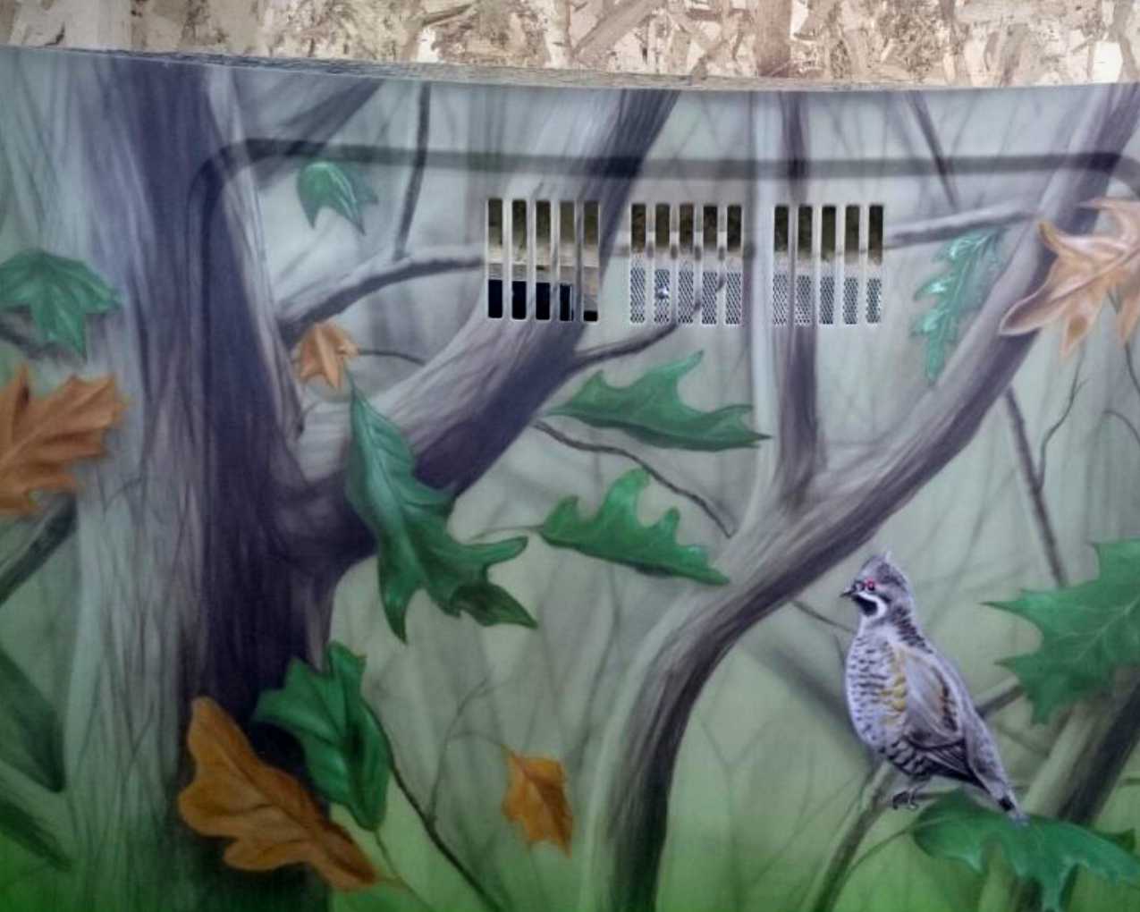 Капот охотника