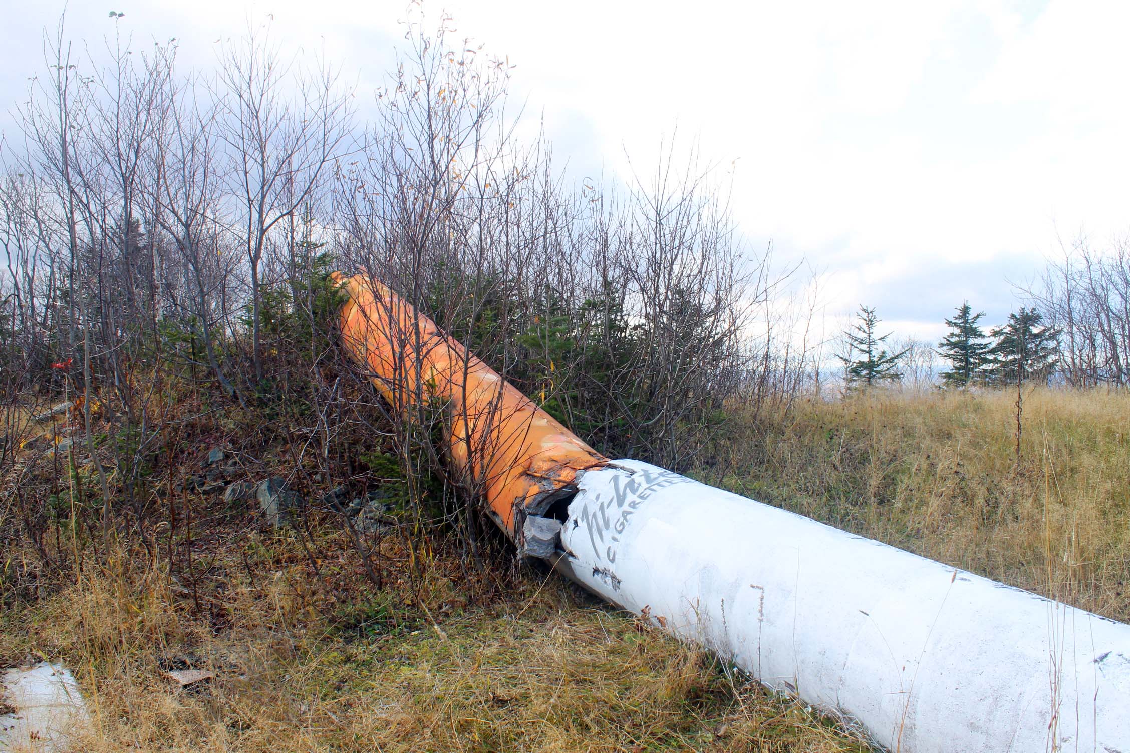Минздрав предупреждает Стрит-арт