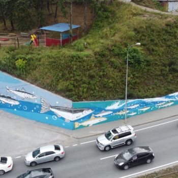 13bb4b2e Dbe2 48d1 88a5 759416bbdfb4